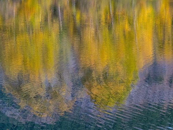 Gulin, Sylvia 아티스트의 USA-Washington State-Easton and fall colors of Cottonwoods in small pond작품입니다.